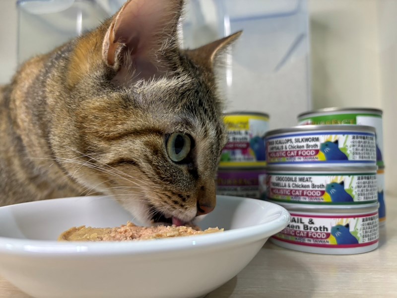 女人知己試用大隊,口碑行銷,部落客行銷,PURRFACT 波菲特貓用主食罐,主食罐,PURRFACT波菲特,貓主食罐,貓罐,PURRFACT波菲特貓用主食罐,魚肉蔓越莓主食罐,鮮嫩雞主食罐,鹿肉雞肉主食罐,牛肉鵪鶉貓主食罐,干貝蠶蛹配方,鱷魚肉白木耳配方,雞肉魚肉配方,安心鶉配方,評價,體驗,適口性佳,心得,成貓適用,高齡貓適用,質地是慕絲狀